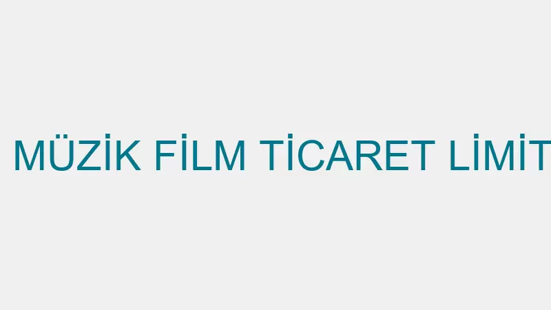 YÜZDE YÜZ MÜZİK FİLM TİCARET LİMİTED ŞİRKETİ