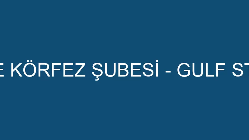 AMERICAN LIFE KÖRFEZ ŞUBESİ - GULF STAR EĞİTİM HİZ
