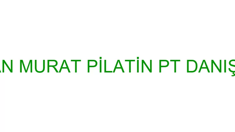 KAYAHAN MURAT PİLATİN PT DANIŞMANLIK