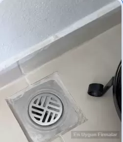 Evde gümüş böceği cıkıyor ilaclama istiyoruz