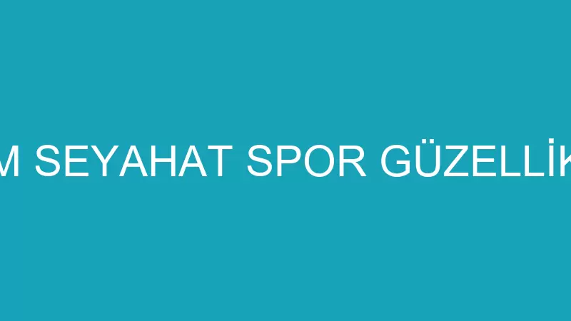 MEISTER TURİZM SEYAHAT SPOR GÜZELLİK SALONLARI İŞL