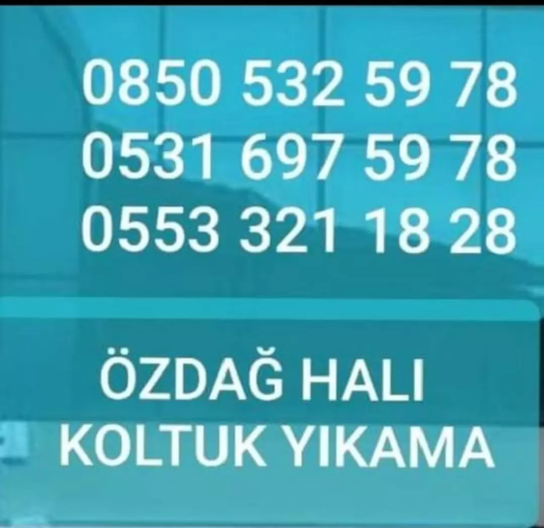 Halı yıkama