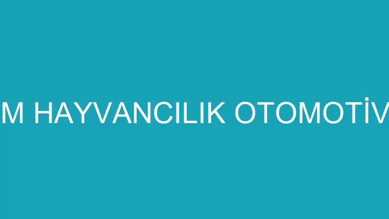 VİZYON AKVARYUM HAYVANCILIK OTOMOTİV SPOR SALONLAR