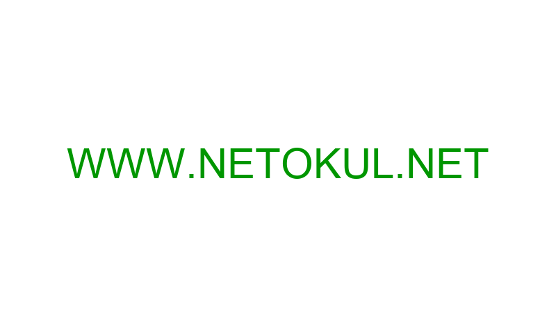 WWW.NETOKUL.NET