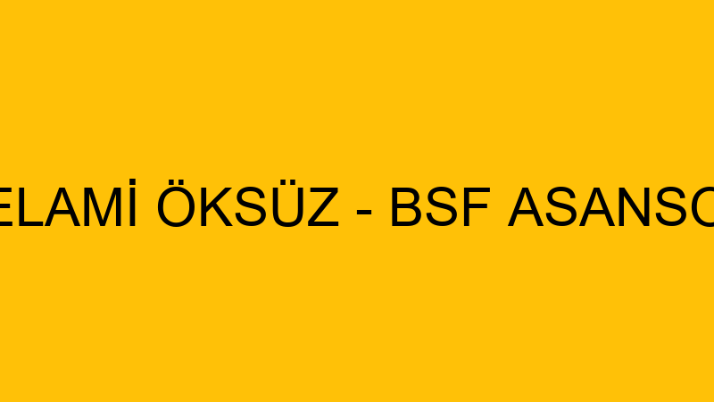 SELAMİ ÖKSÜZ - BSF ASANSOR