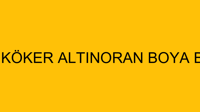 ELFİDE KÖKER ALTINORAN BOYA BADANA