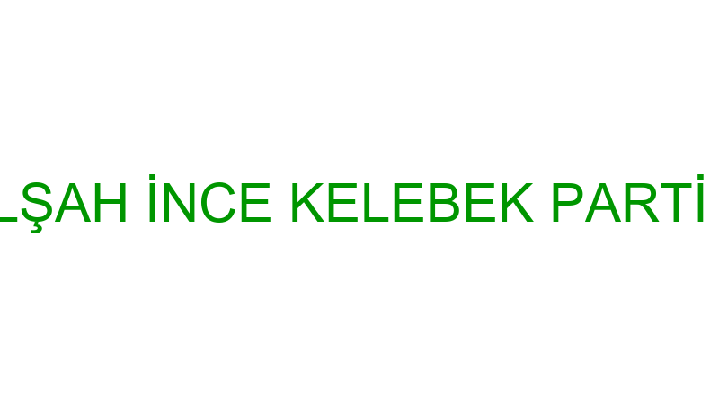 GÜLŞAH İNCE KELEBEK PARTİ EVİ
