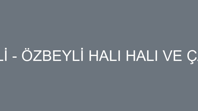 TÜLAY ÖZBEYLİ - ÖZBEYLİ HALI HALI VE ÇAMAŞIR YIKAM