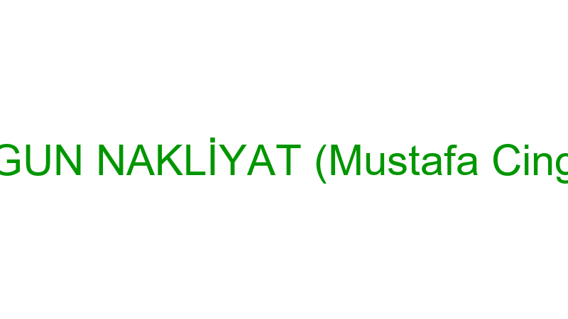 UYGUN NAKLİYAT (Mustafa Cingöz)