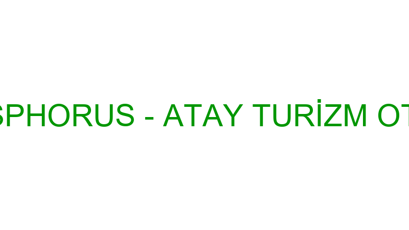 GEZİ HOTEL BOSPHORUS - ATAY TURİZM OTOMOTİV İNŞAAT