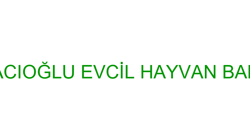 AHMET BOYACIOĞLU EVCİL HAYVAN BAKIM MERKEZİ