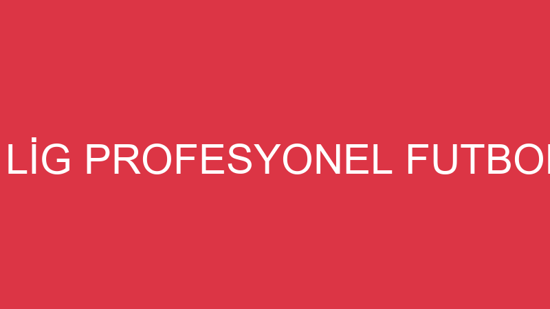 TÜRKİYE SÜPER LİG PROFESYONEL FUTBOL KULÜPLERİ BİR