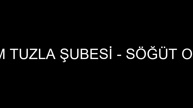 SÖĞÜT OTO CAM TUZLA ŞUBESİ - SÖĞÜT OTO CAM VE İNŞA