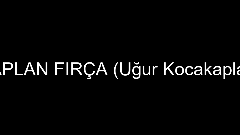 KAPLAN FIRÇA (Uğur Kocakaplan)