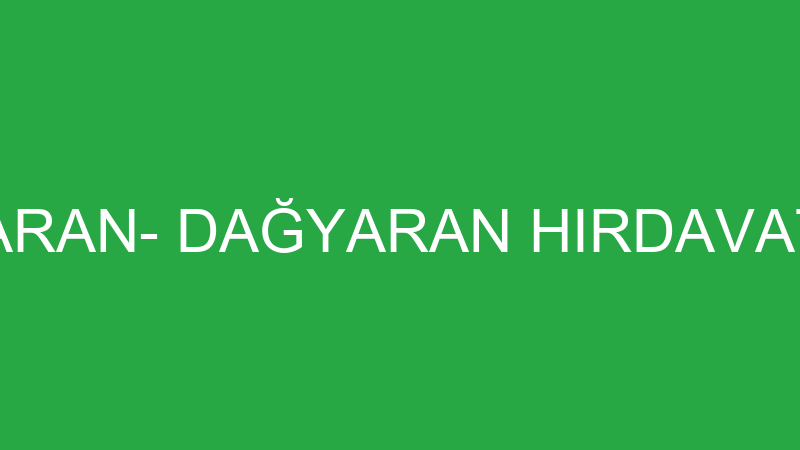SEYİT DAĞYARAN- DAĞYARAN HIRDAVAT NALBURİYE