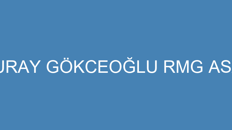 ELİF NURAY GÖKCEOĞLU RMG ASANSÖR