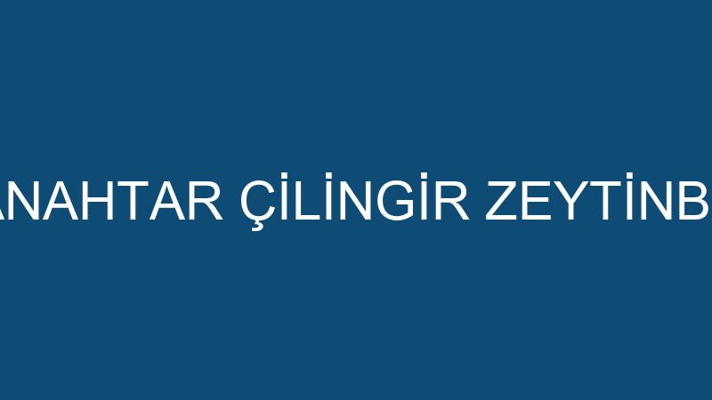 BAŞ ANAHTAR ÇİLİNGİR ZEYTİNBURNU