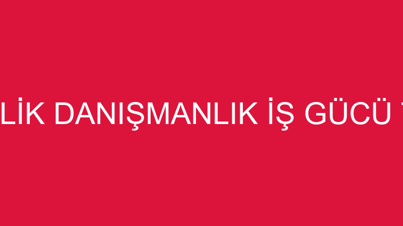 ZİRVE20 TEMİZLİK DANIŞMANLIK İŞ GÜCÜ TEMİNİ HİZMET