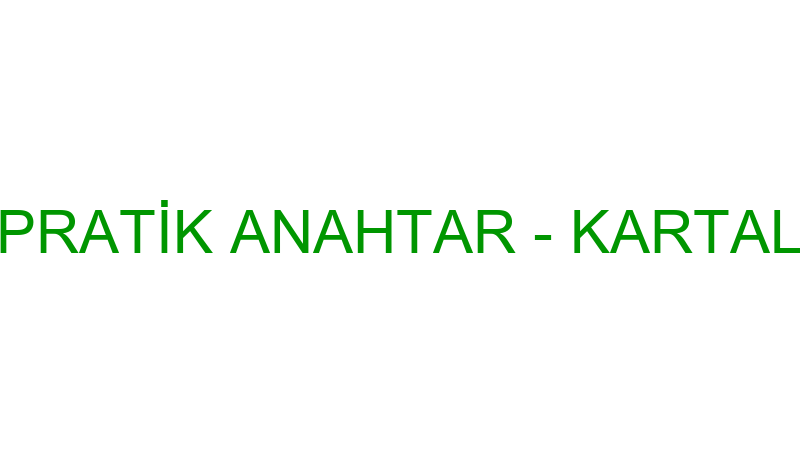 PRATİK ANAHTAR - KARTAL
