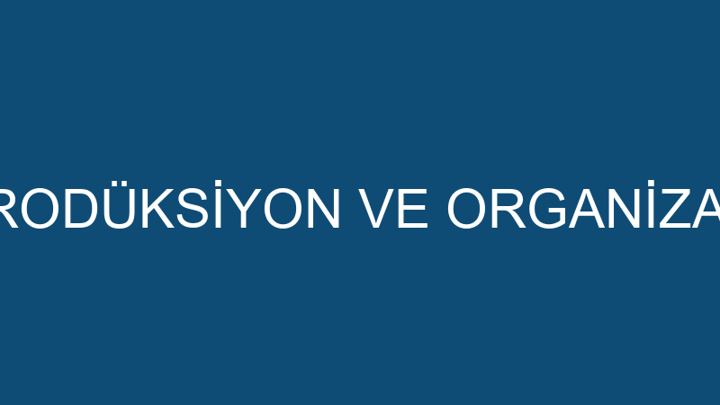 FORMAT MÜZİK PRODÜKSİYON VE ORGANİZASYON HİZMETLER