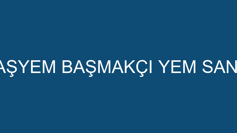 BAŞYEM - BAŞYEM BAŞMAKÇI YEM SAN. VE TİC.A.Ş.