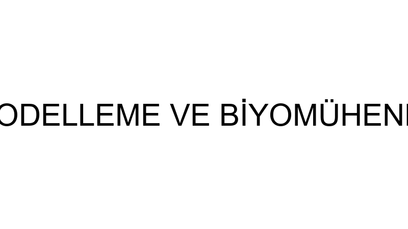 BIOSTAMIX 3D MODELLEME VE BİYOMÜHENDİSLİK ANONİM Ş