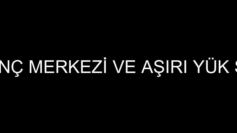 MVM MACİT VİNÇ MERKEZİ VE AŞIRI YÜK SİVİÇLERİ (Şen