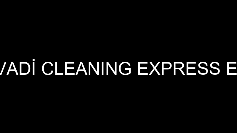 DİLEK BAYSAL VADİ CLEANING EXPRESS EV VE OFİS TEMİ