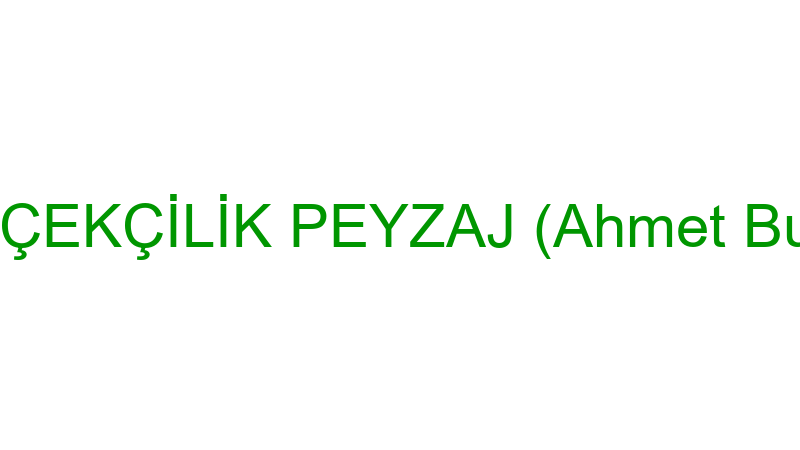 KUBİLAY ÇİÇEKÇİLİK PEYZAJ (Ahmet Burak Kubilay)
