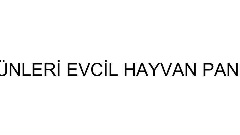 VETPET PET ÜRÜNLERİ EVCİL HAYVAN PANSİYON VE BAKIM