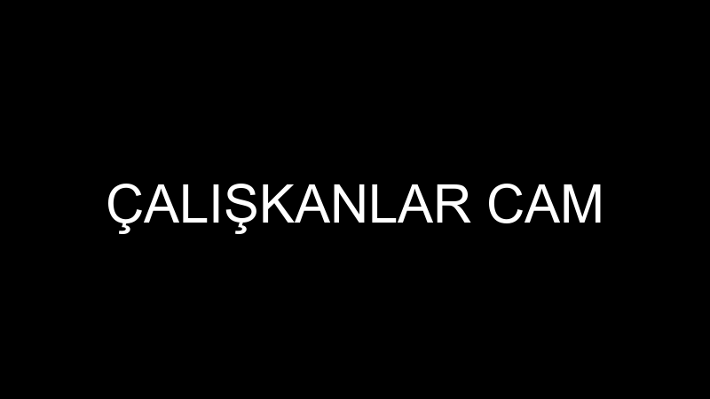 ÇALIŞKANLAR CAM