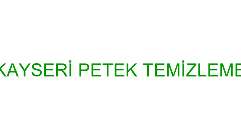 KAYSERİ PETEK TEMİZLEME