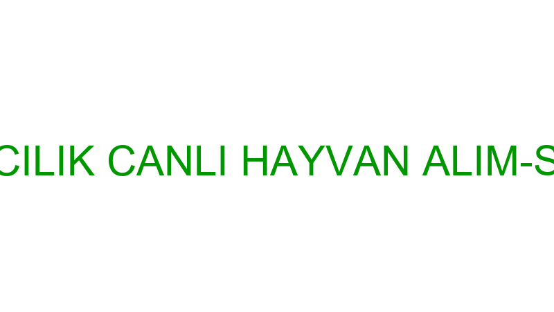 SİLAY HAYVANCILIK CANLI HAYVAN ALIM-SATIMI TİCARET