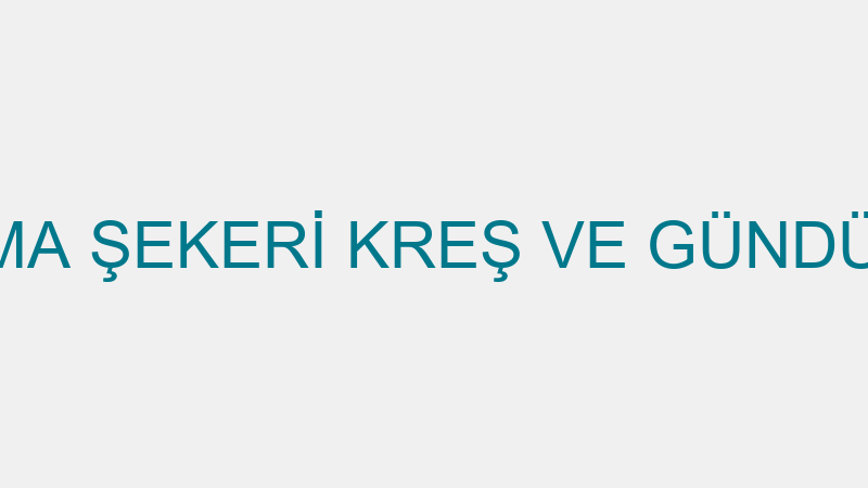 SAMSUN ELMA ŞEKERİ KREŞ VE GÜNDÜZ BAKIM EVİ