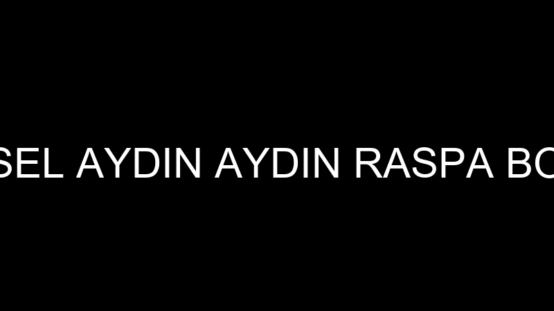 AYSEL AYDIN AYDIN RASPA BOYA