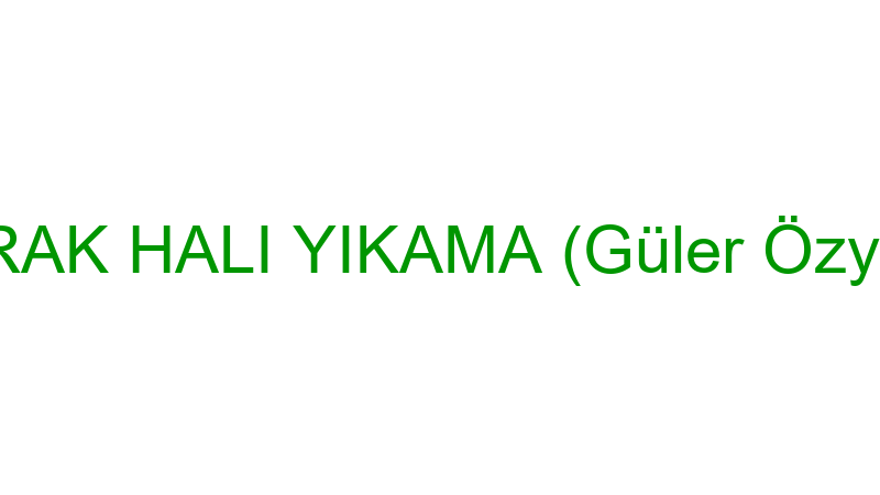 BERRAK HALI YIKAMA (Güler Özyavuz)