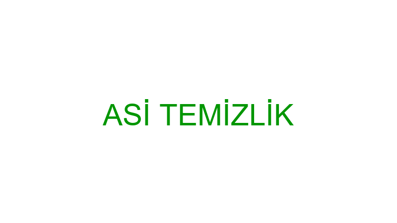 ASİ TEMİZLİK