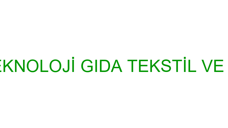 MERİT SPOR TEKNOLOJİ GIDA TEKSTİL VE OTOMOTİV LİMİ