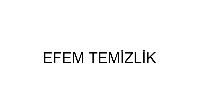 EFEM TEMİZLİK