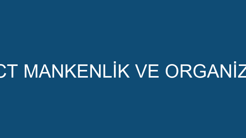 PERFECT MANKENLİK VE ORGANİZASYON