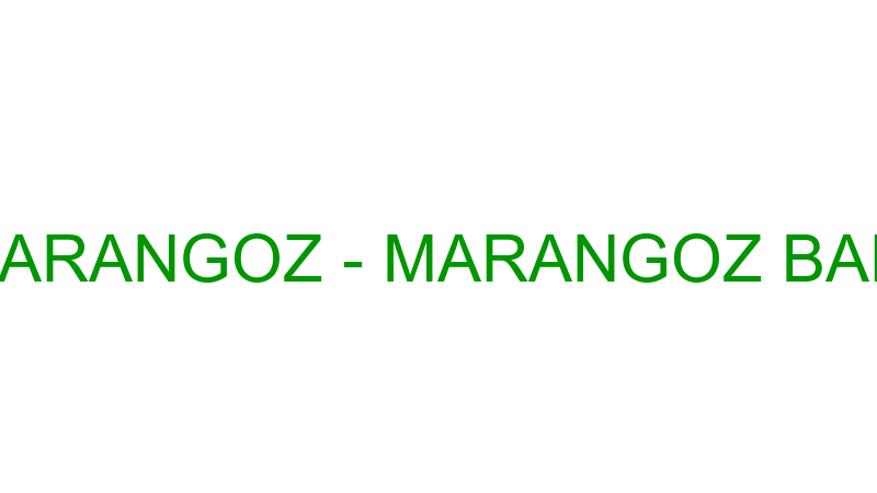 MEHMET MARANGOZ - MARANGOZ BAHARATLARI