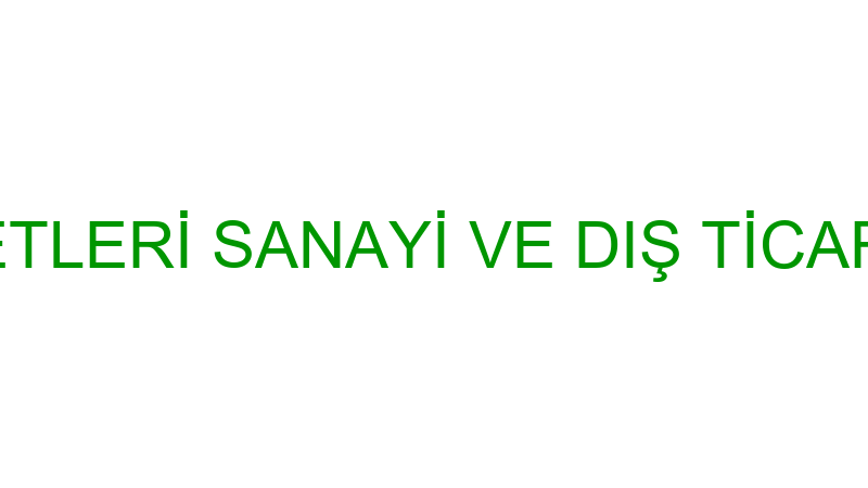TEMİZBİEV EV HİZMETLERİ SANAYİ VE DIŞ TİCARET ANONİM ŞİRKETİ