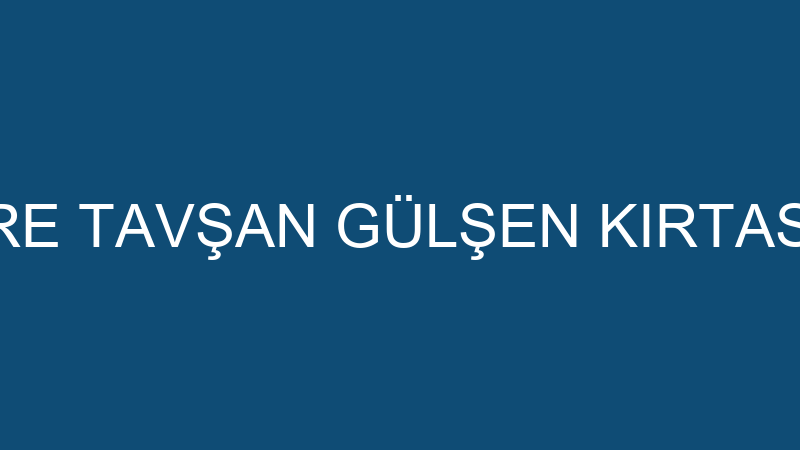 EMRE TAVŞAN GÜLŞEN KIRTASİYE
