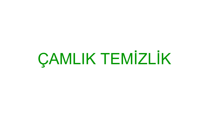 Çamlık Temi̇zli̇k logosu