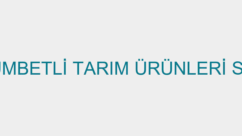KÜMBETLİ - KÜMBETLİ TARIM ÜRÜNLERİ SAN. VE TİC.A.Ş