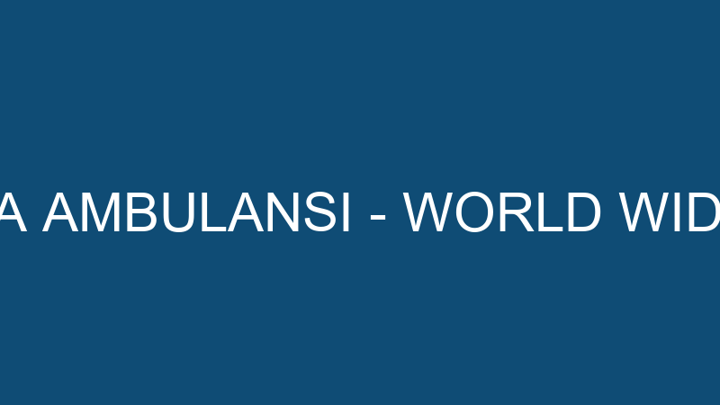 WORLDWIDE HAVA AMBULANSI - WORLD WIDE HAVA AMBULAN