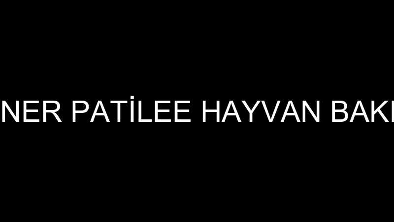 AYŞEGÜL ÜNER PATİLEE HAYVAN BAKIM MERKEZİ