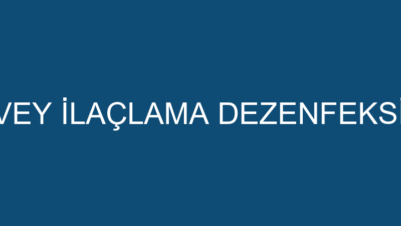 SÜRVEY İLAÇLAMA DEZENFEKSİYON
