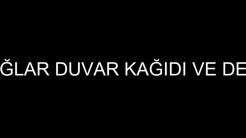SERHAT ÇAĞLAR DUVAR KAĞIDI VE DEKORASYON