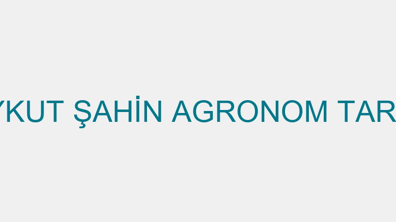 AYKUT ŞAHİN AGRONOM TARIM